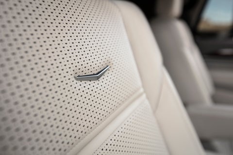 CadillacDemo1 in Derwood MD